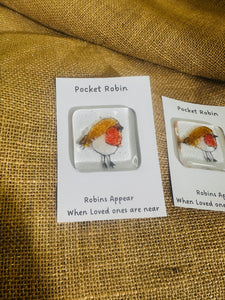 Pocket Robin