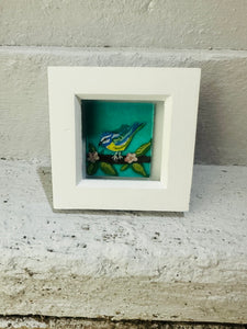 Fused Glass Blue Tit in Box Frame