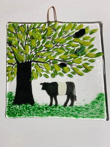 handmade fused glass belted Galloway cow wall hanger 
