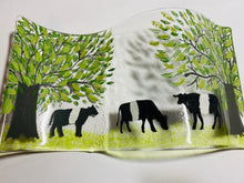 Load image into Gallery viewer, Self standing Belted Galloway Cows Countryside