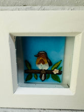 Load image into Gallery viewer, Pale blue Robin in Box Frame
