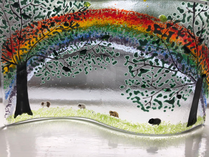 Guinea Pig Countryside Rainbow