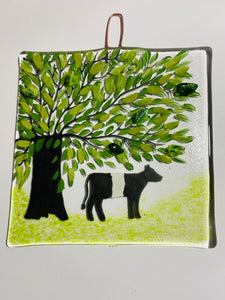 handmade fused glass belted Galloway cow wall hanger 