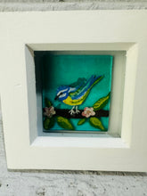 Load image into Gallery viewer, Fused Glass Blue Tit in Box Frame